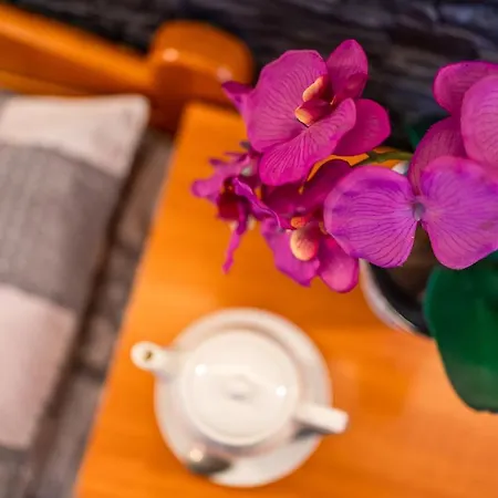 Ow Piotr ホームステイ