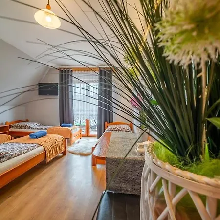 Ow Piotr * ザコパネ