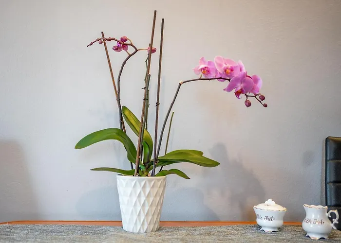 Homestay szállás Ow Piotr Zakopane